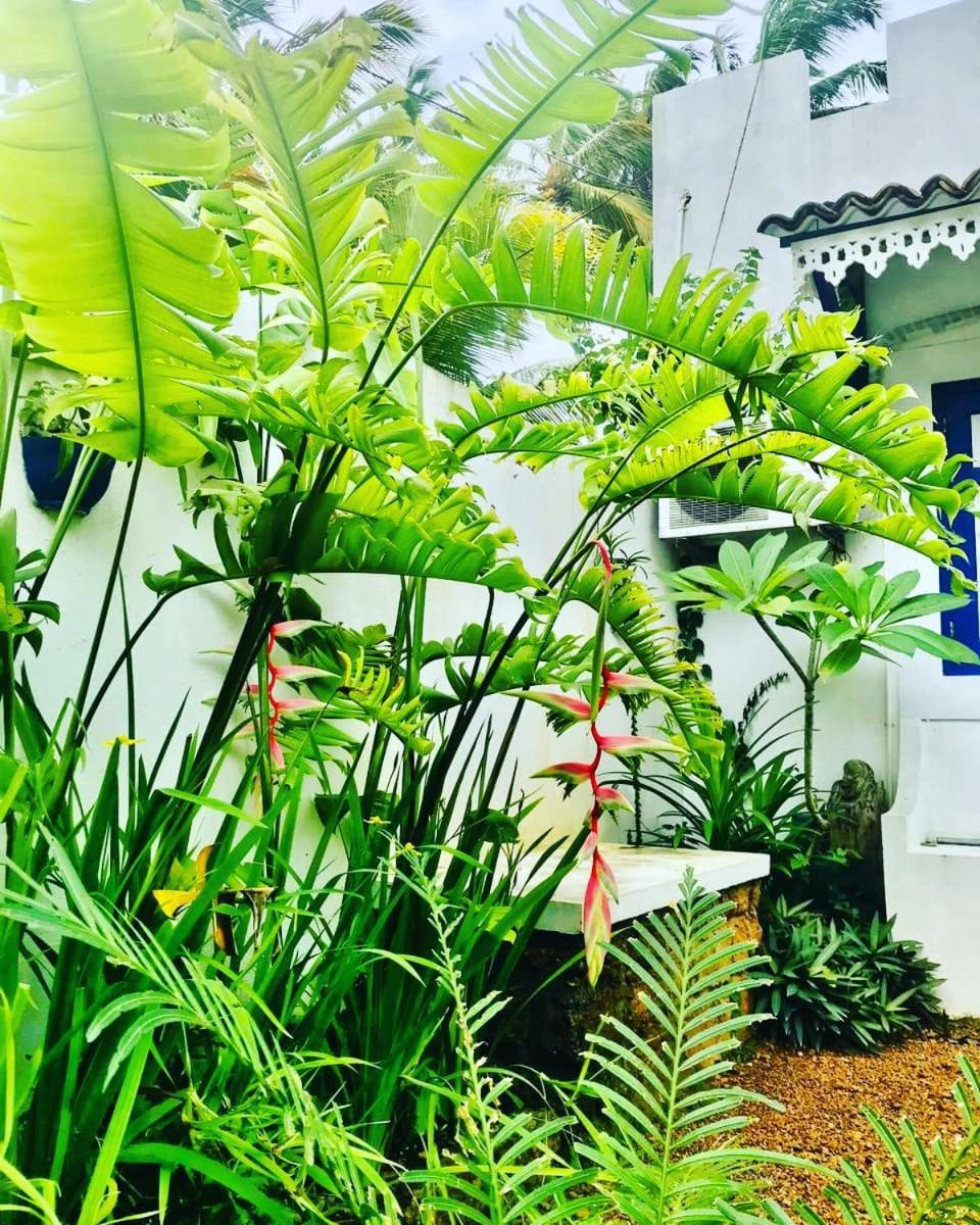 Sriyan Villa Beruwala Extérieur photo